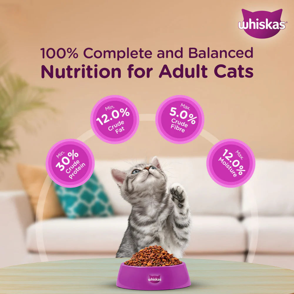 Whiskas Ocean Fish Kitten Dry Food