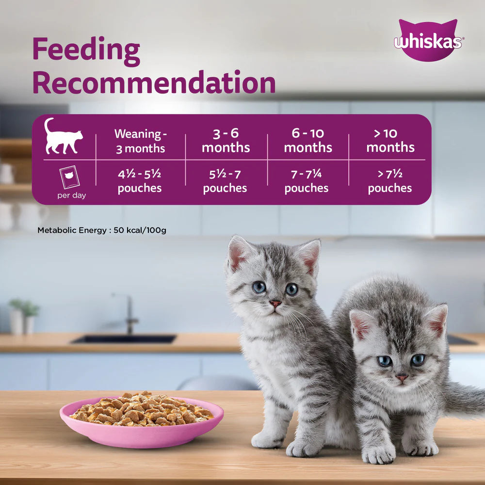Whiskas Chicken in Gravy Kitten Wet Food