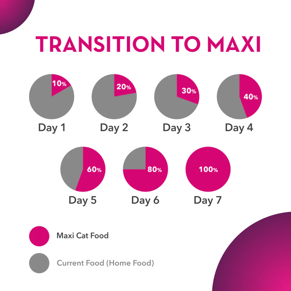 Maxi Adult Ocean Fish Cat Dry Food