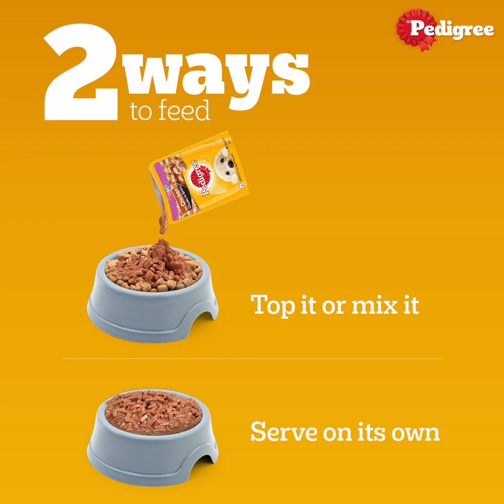 Pedigree Chicken and Liver Chunks in Gravy Puppy Dog Wet Food (70g)