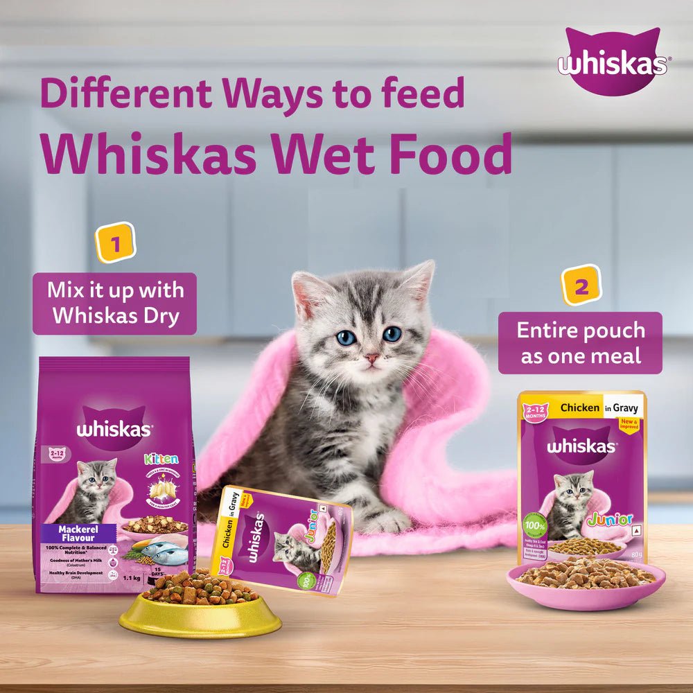 Whiskas Chicken in Gravy Kitten Wet Food