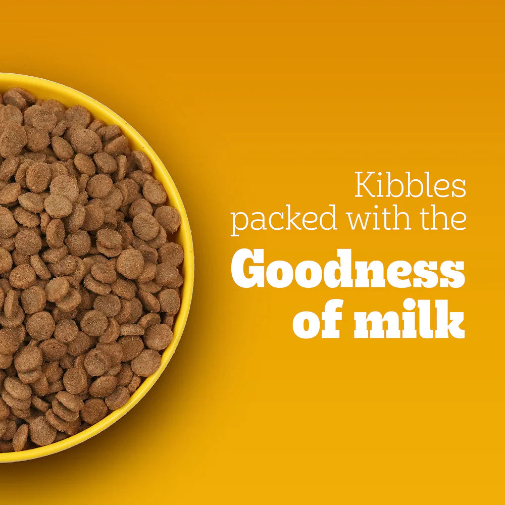 Pedigree Chicken and Milk Puppy Dog Dry Food (Agra)