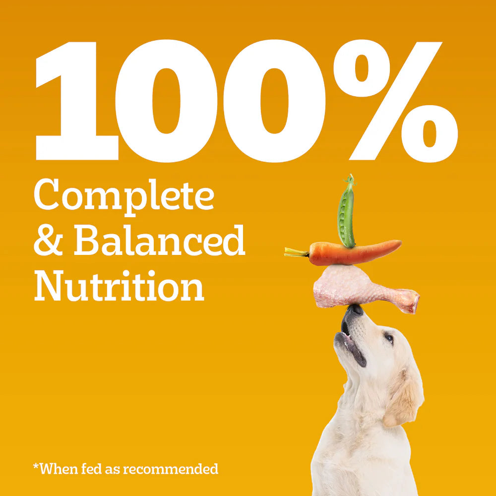 Pedigree Chicken and Milk Puppy Dog Dry Food (Agra)