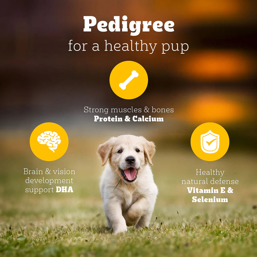 Pedigree Chicken and Milk Puppy Dog Dry Food (Agra)