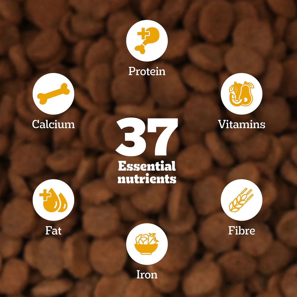 Pedigree Chicken and Milk Puppy Dog Dry Food