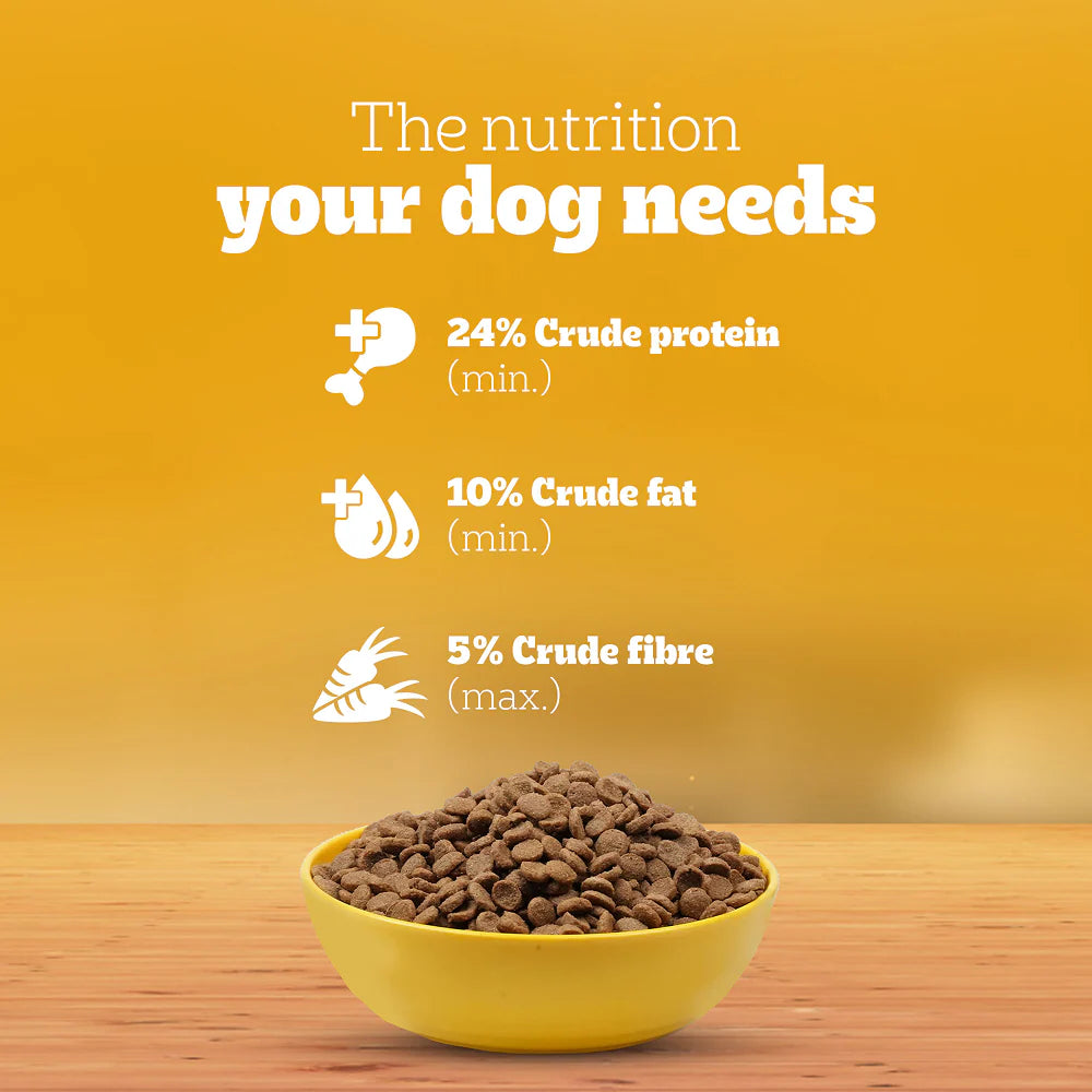 Pedigree Chicken and Milk Puppy Dog Dry Food (Agra)