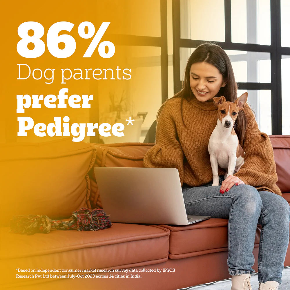 Pedigree Chicken and Milk Puppy Dog Dry Food (Agra)