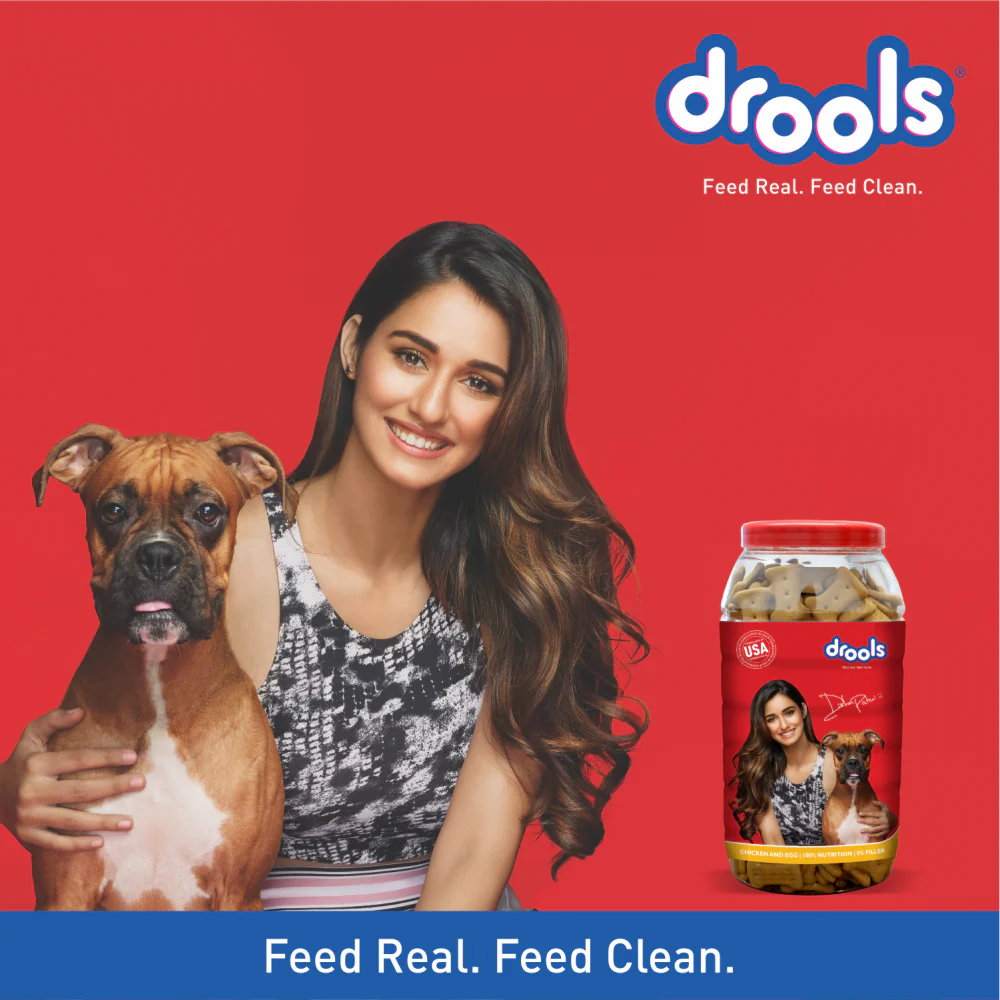Drools Chicken and Egg Biscuit Dog Treats (Agra)
