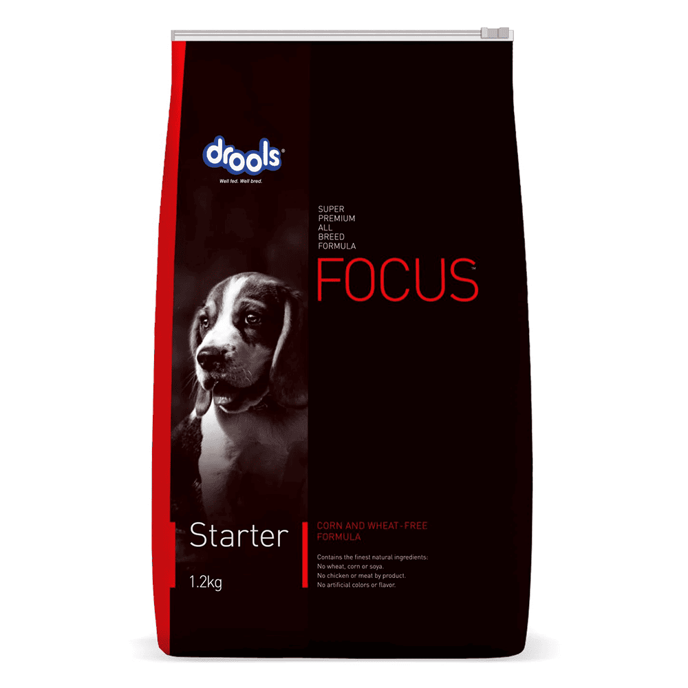 Drools Focus Starter Dog Food – Super Premium, Corn & Wheat Free