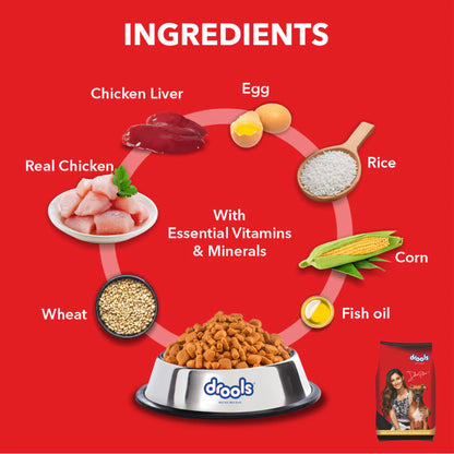 Drools Chicken And Egg Adult Dog Dry Food (Agra)