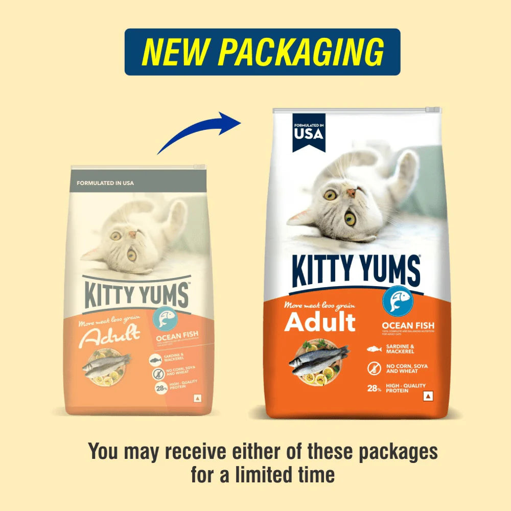 Kitty Yums Ocean Fish Adult Cat Dry Food