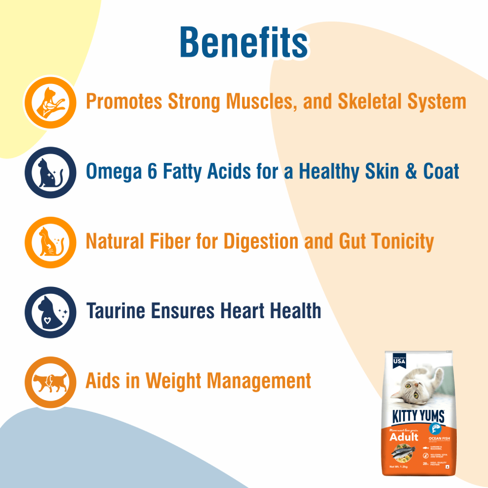 Kitty Yums Ocean Fish Adult Cat Dry Food