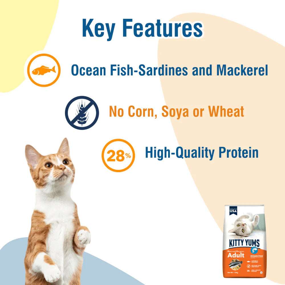 Kitty Yums Ocean Fish Adult Cat Dry Food