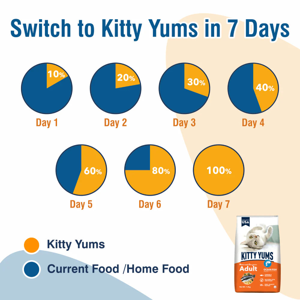 Kitty Yums Ocean Fish Adult Cat Dry Food