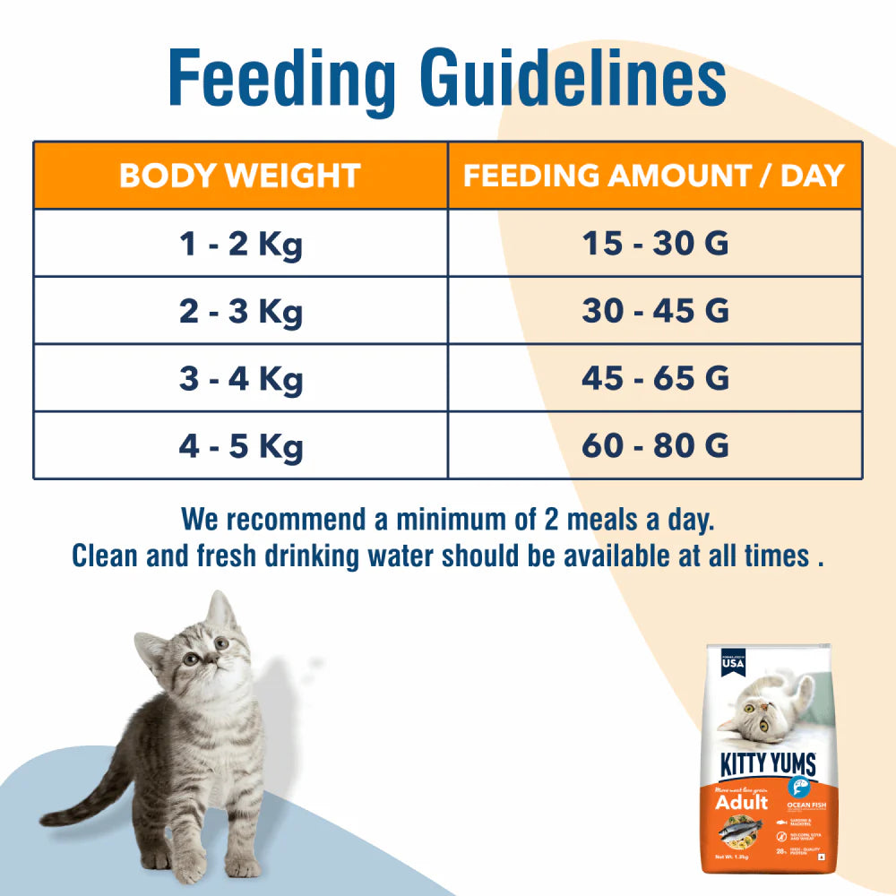 Kitty Yums Ocean Fish Adult Cat Dry Food