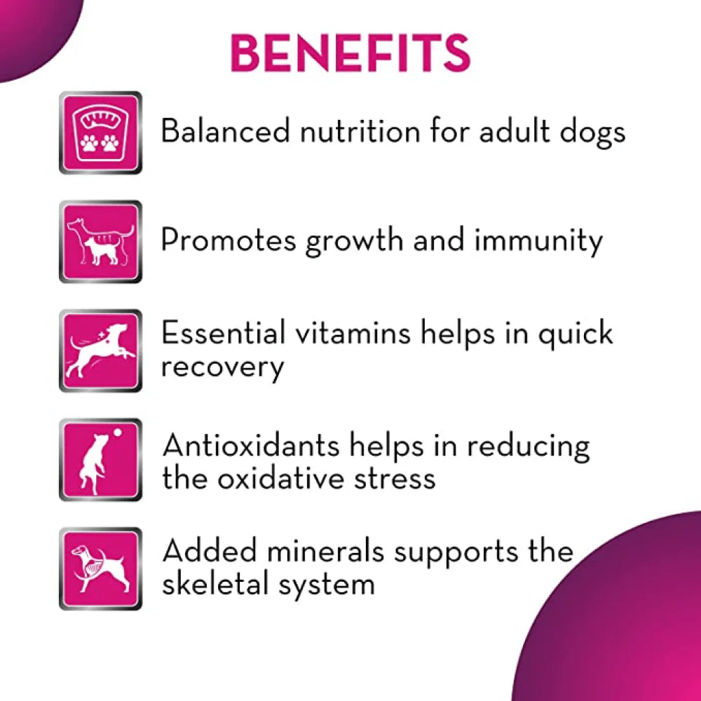 Maxi Adult Chicken and Liver Dry Dog Food