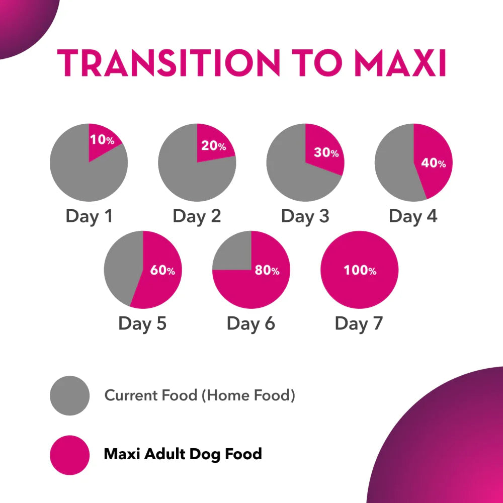Maxi Adult Chicken and Liver Dry Dog Food