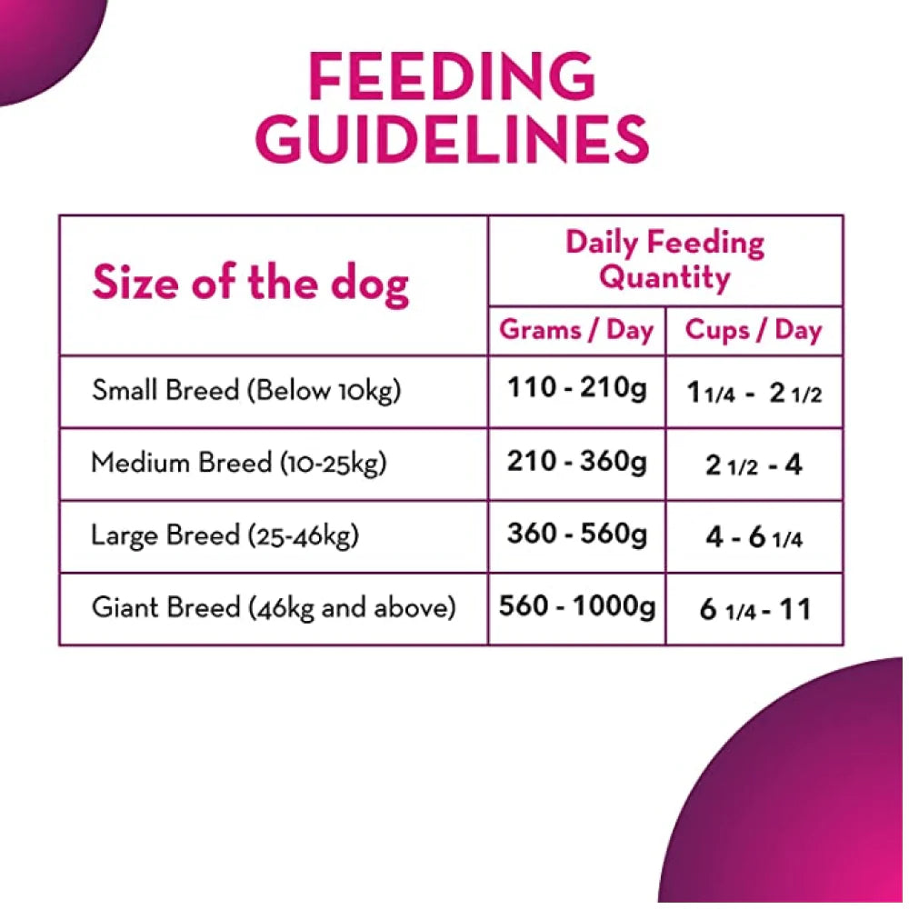 Maxi Adult Chicken and Liver Dry Dog Food