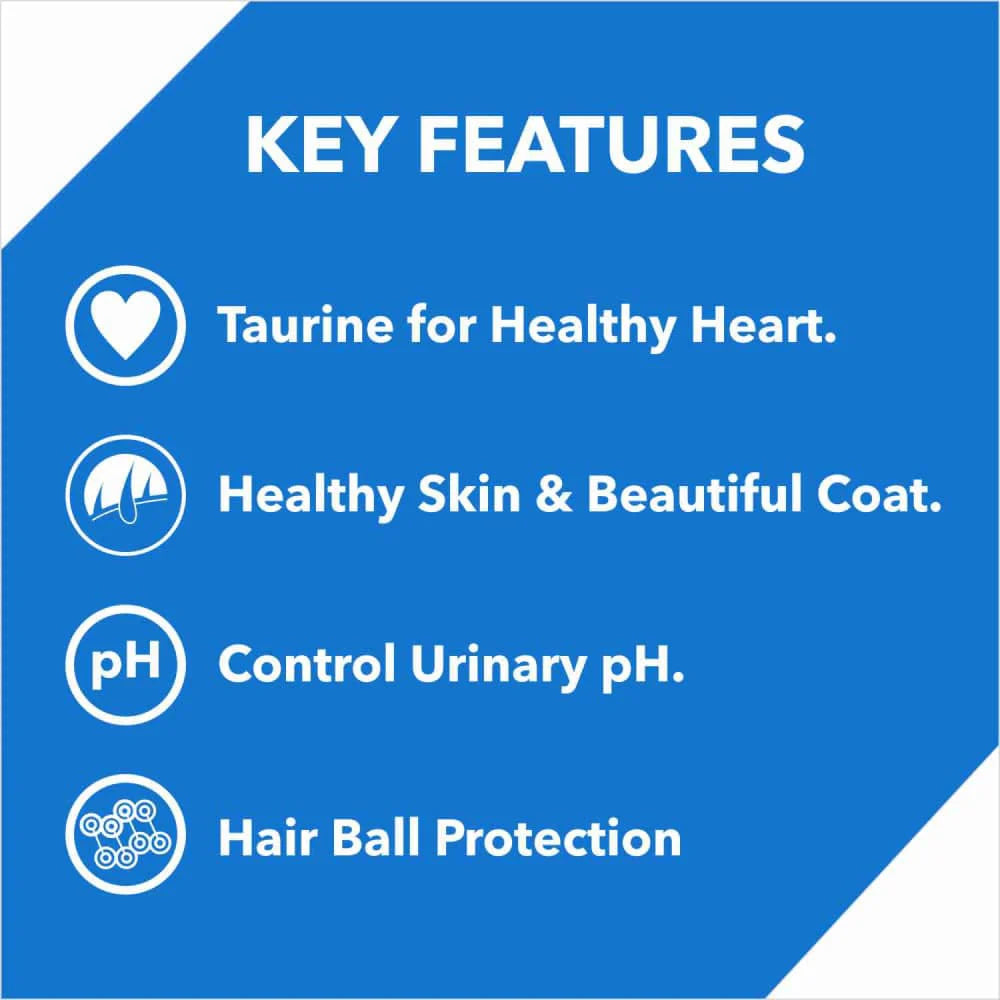 Drools Ocean Fish Kitten Cat Dry Food 3kg