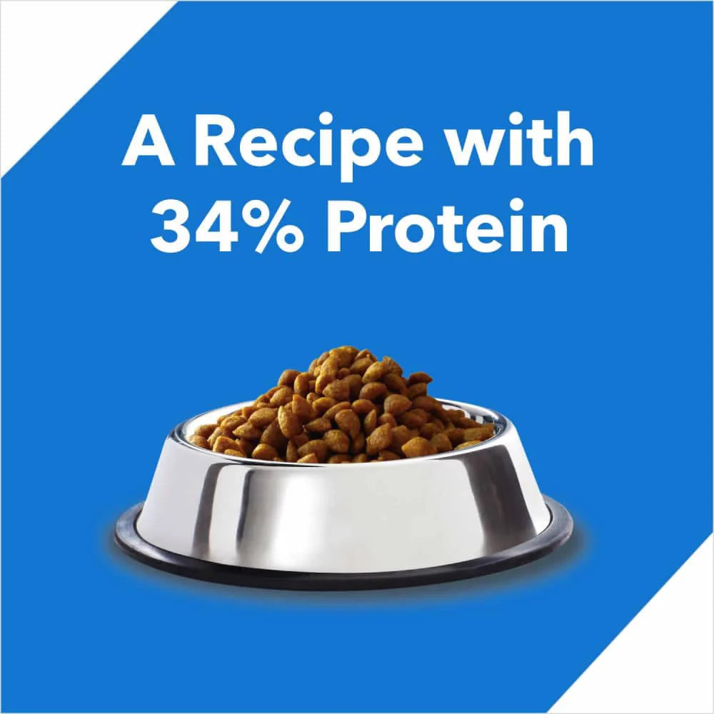 Drools Ocean Fish Kitten Cat Dry Food 3kg