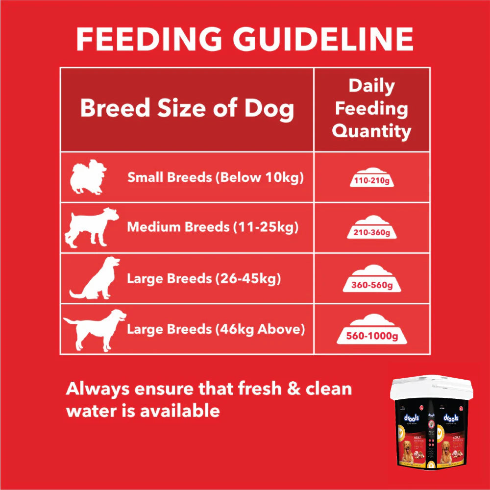 Drools Chicken And Egg Adult Dog Dry Food 10Kg