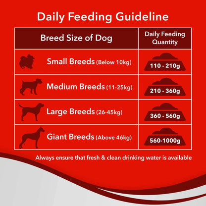Drools Optimum Perfromance Adult Dog Dry Food (Agra)