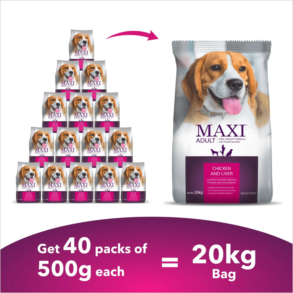 Maxi Adult Chicken and Liver Dry Dog Food