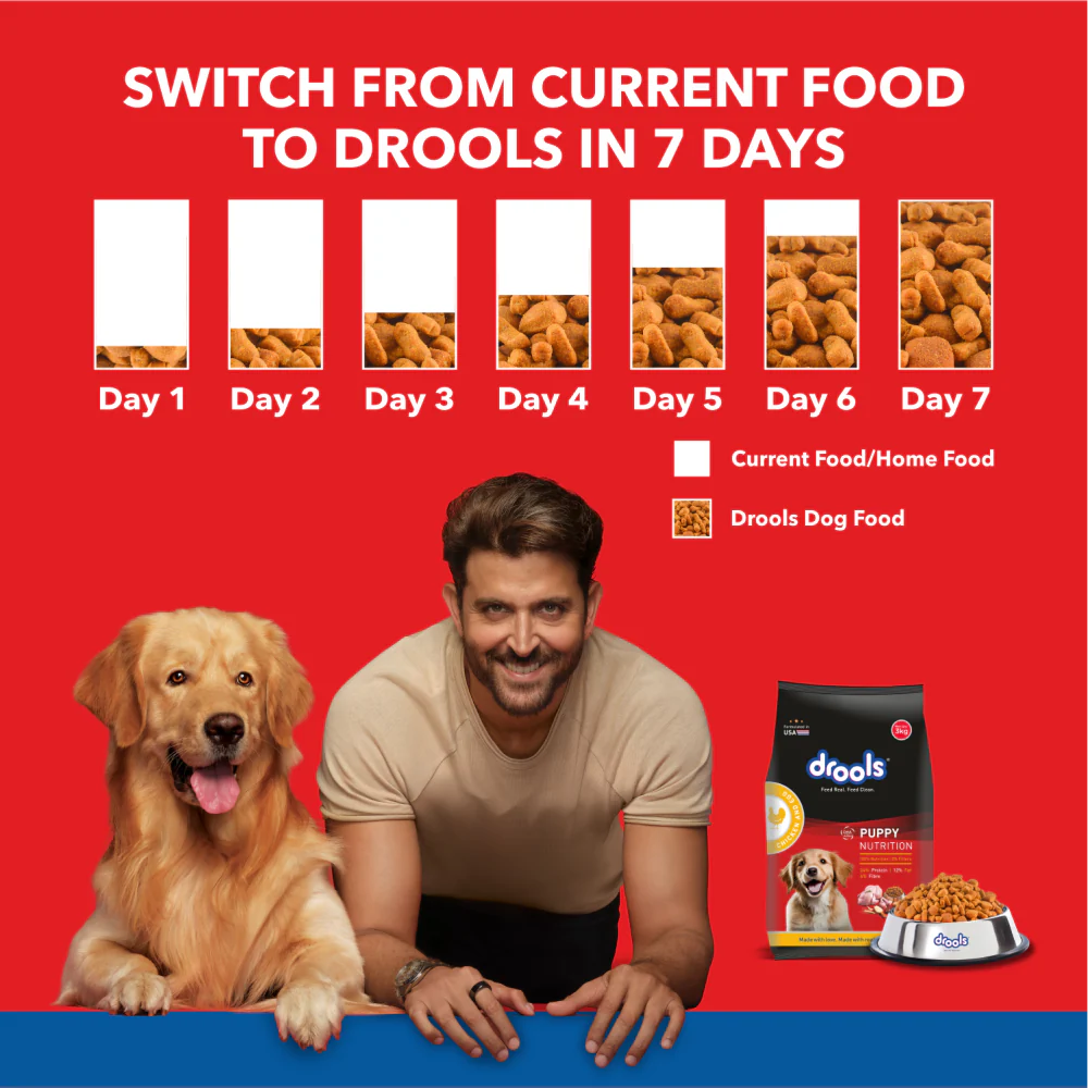 Drools Chicken And Egg Puppy Dog Dry Food 10Kg