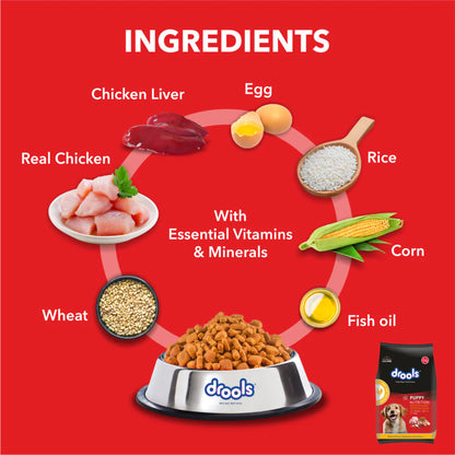 Drools Chicken And Egg Puppy Dog Dry Food (Agra)