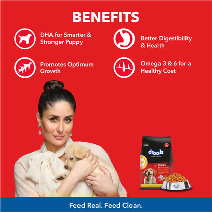 Drools Chicken And Egg Puppy Dog Dry Food (Agra)