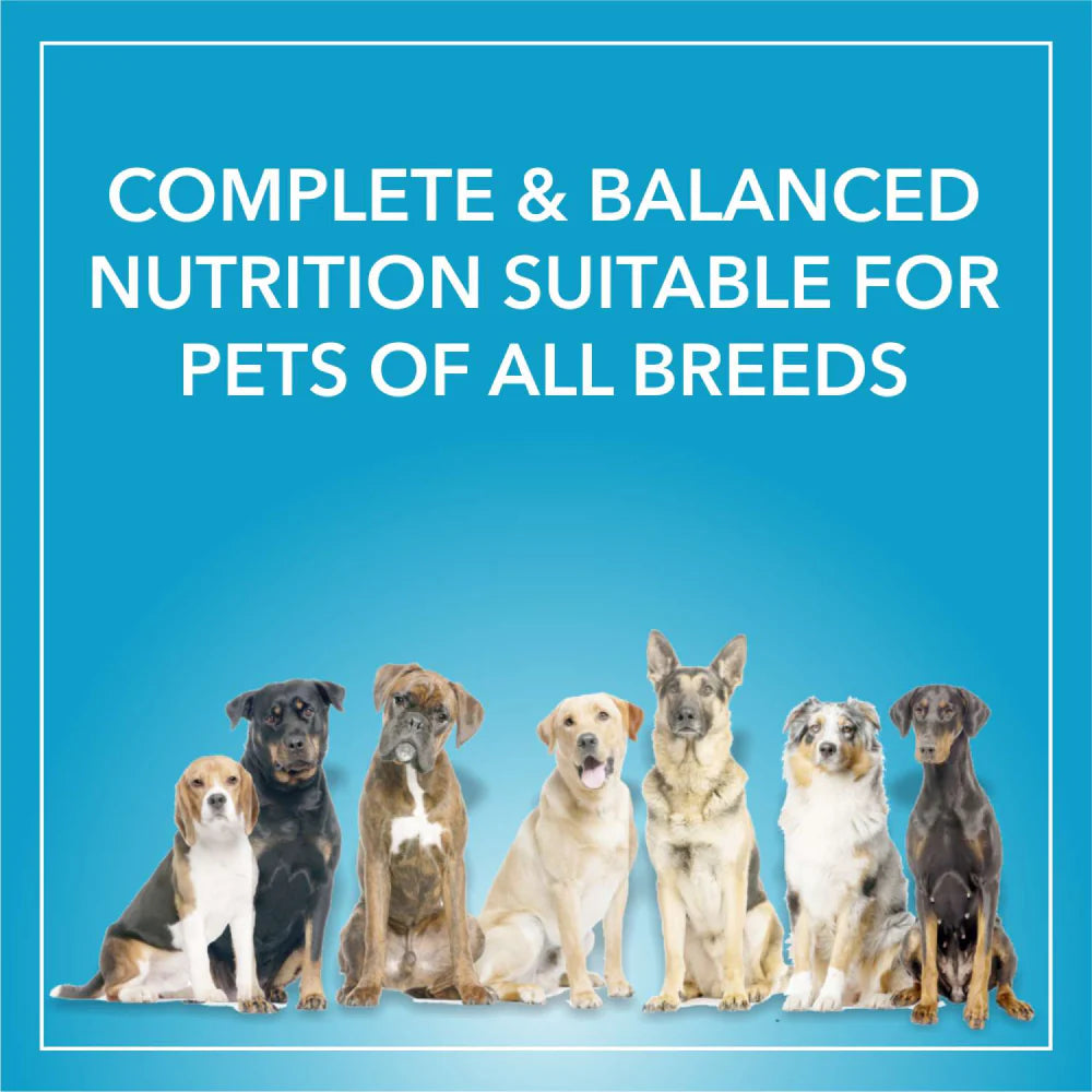 Purepet Chicken & Vegetable Adult Dog Dry Food (Agra)