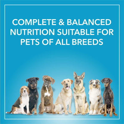 Purepet Chicken & Vegetable Adult Dog Dry Food (Agra)