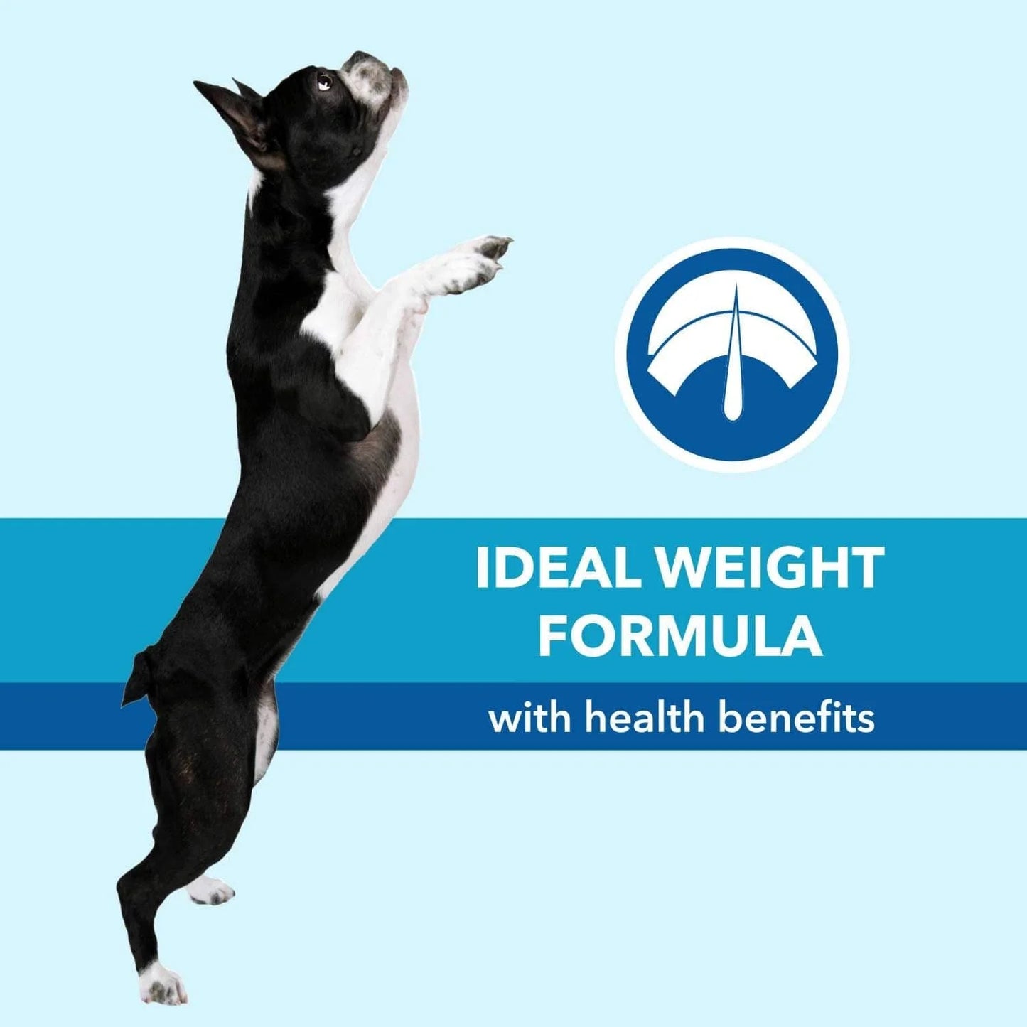 Purepet Chicken & Vegetable Adult Dog Dry Food (Agra)
