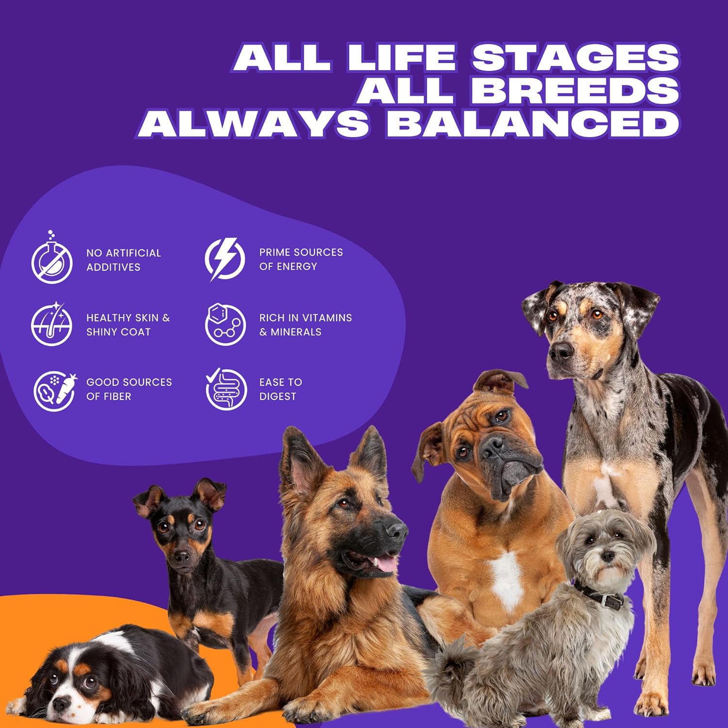 Daily Munch 20kg – Complete Nutrition for All Breeds & Life Stages